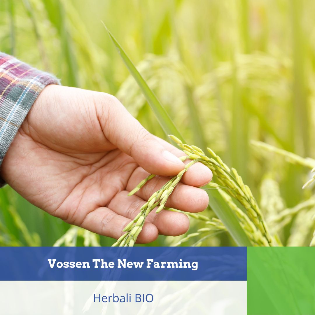 Herbali BIO – Cereals